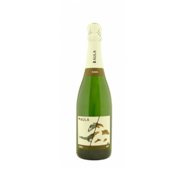 Aula_Cava